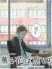 街角食堂